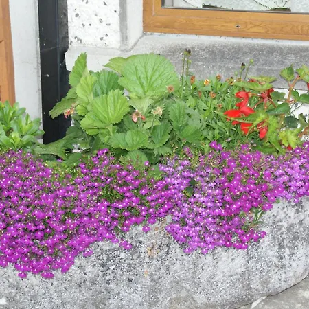 Bed & Breakfast Rockville Cashel (Tipperary)