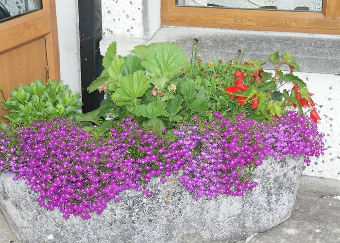 Bed & Breakfast Rockville Cashel (Tipperary)
